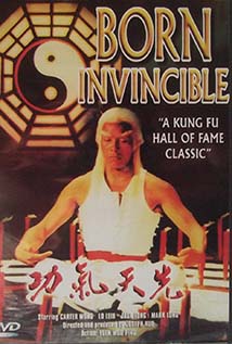 Double Dragon (1994) cover