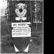 Yogi Bear