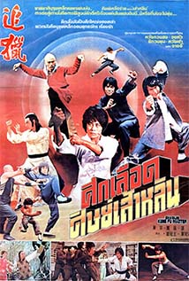 Shaolin Temple Strikes Back cover art