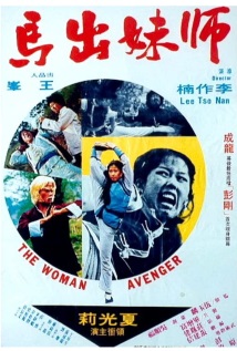 The Woman Avenger (1980) cover